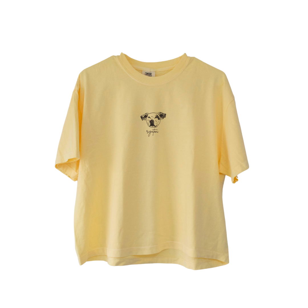 CROPPED PASTEL T-SHIRT