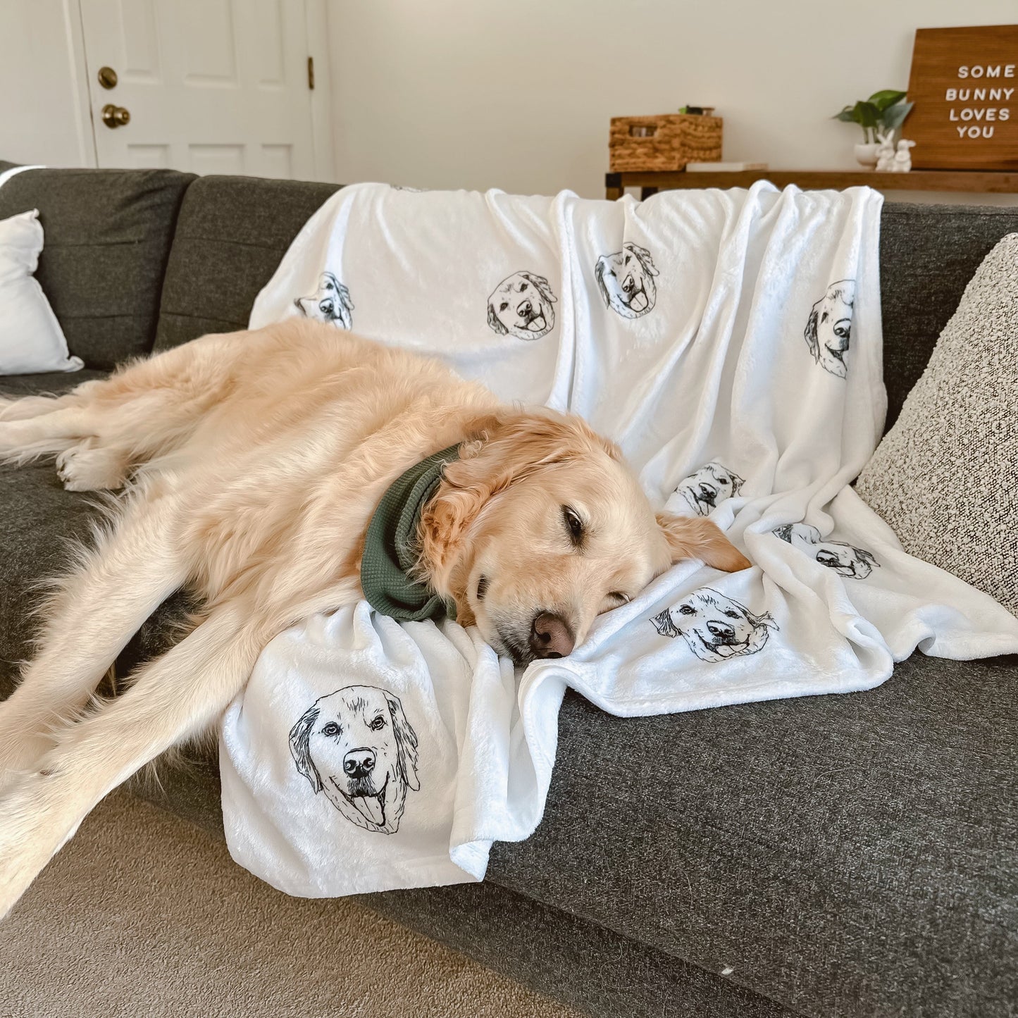 BLANKET
