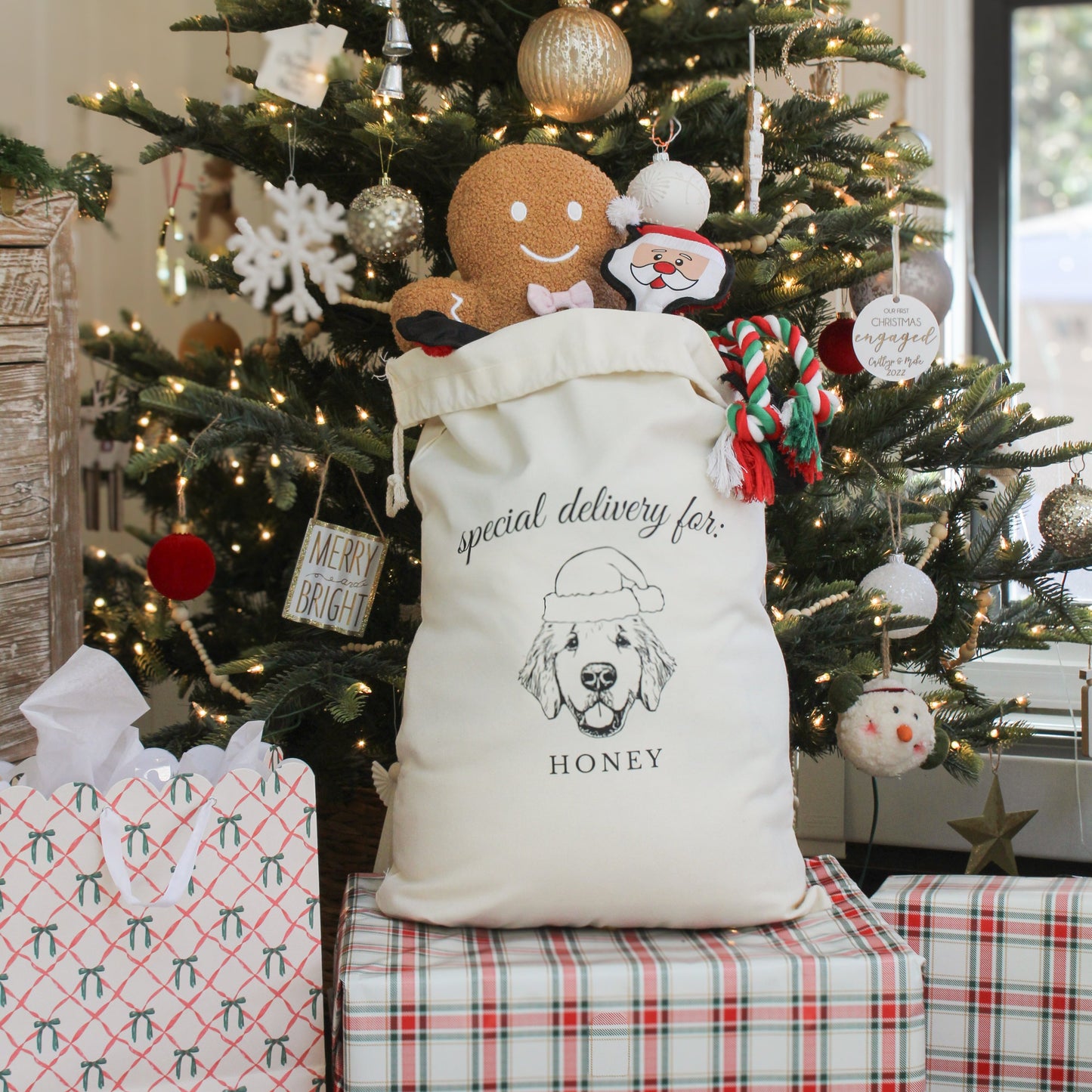 Santa Sack
